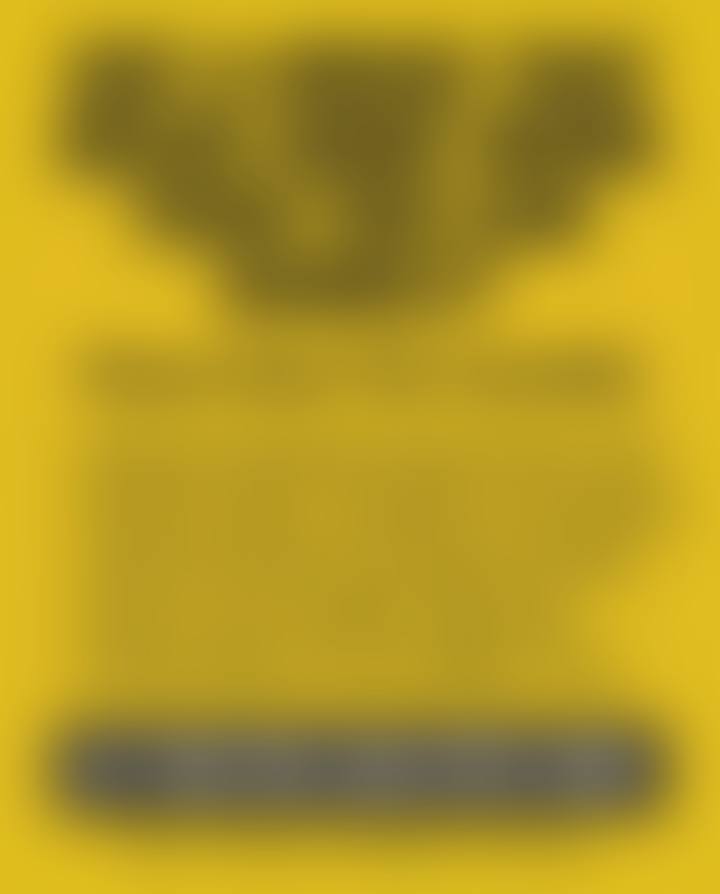 Blurred static image ad. Copy hidden.